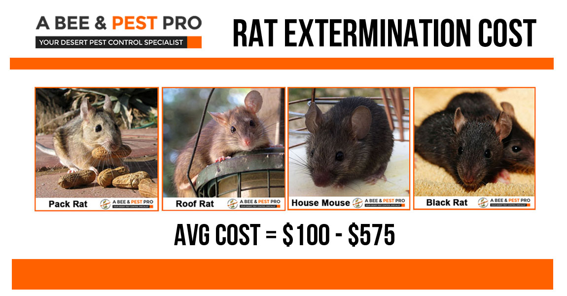 Rat control - Ehrlich Pest Control